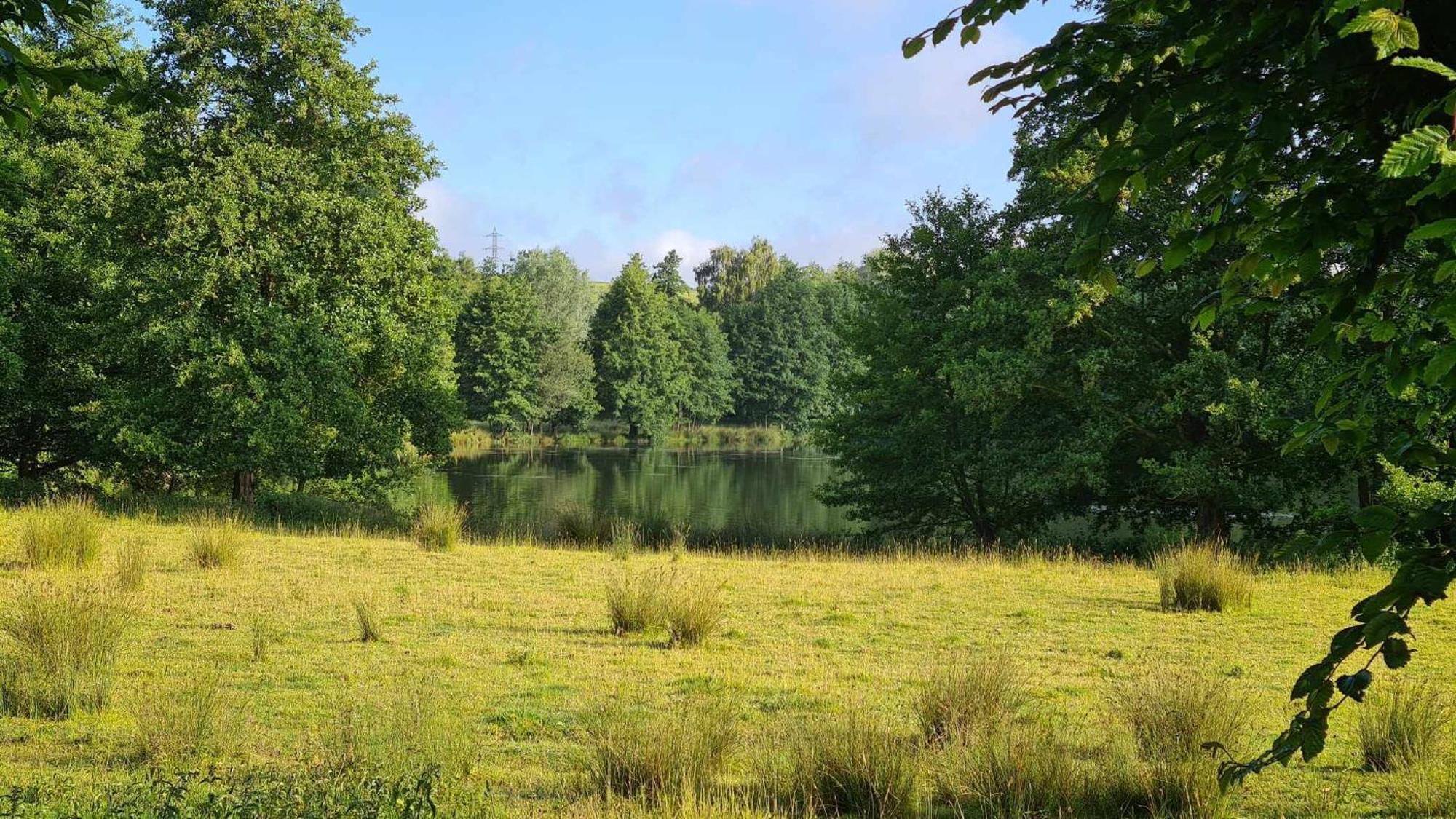 Les Gites De La Renardiere Gueures Exterior foto